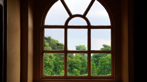 glass trees window