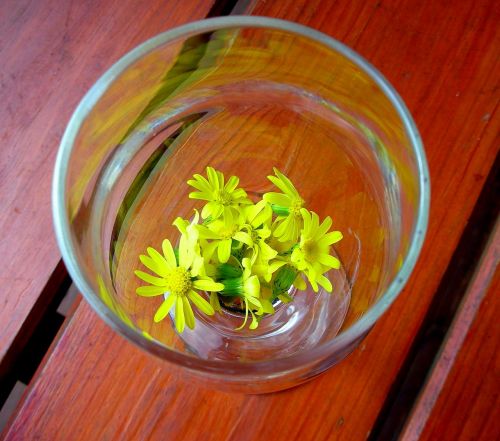glass flower yellow
