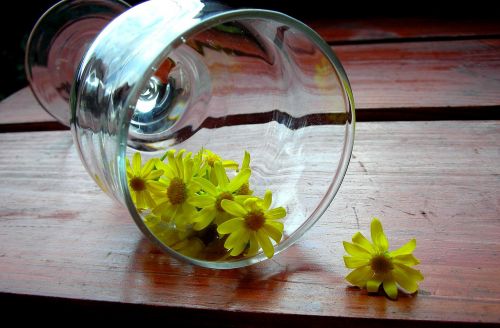 glass wooden desk chamomile