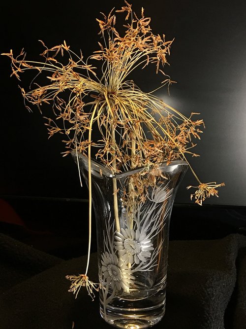 glass  dried plant  decoration