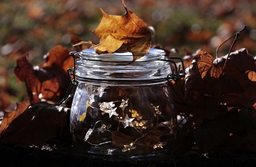 glass  lichterkette  fall foliage
