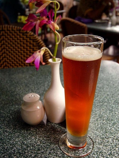 glass beer drink