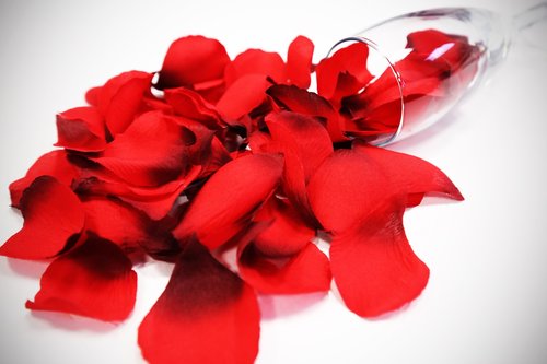glass  red rose petals  heart