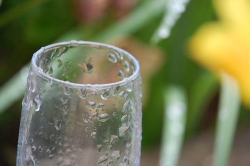 glass  water  fresh