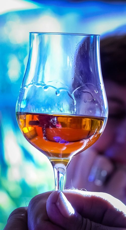 glass cognac tasting