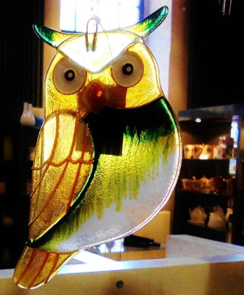 glass windowing eagle owl