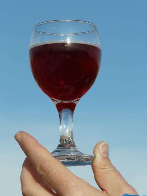 glass wine glass drink