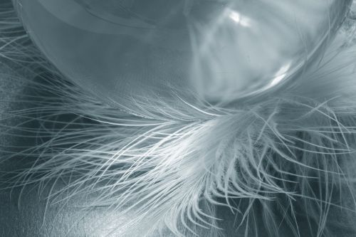 glass ball feather ease