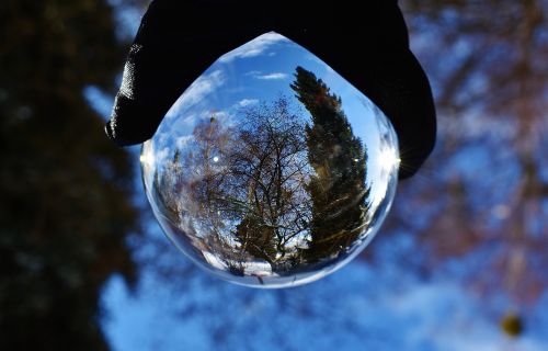 glass ball trees transparent