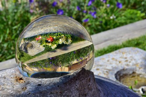 glass ball mirroring flowers