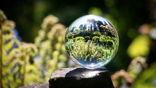 glass ball  garden  fern