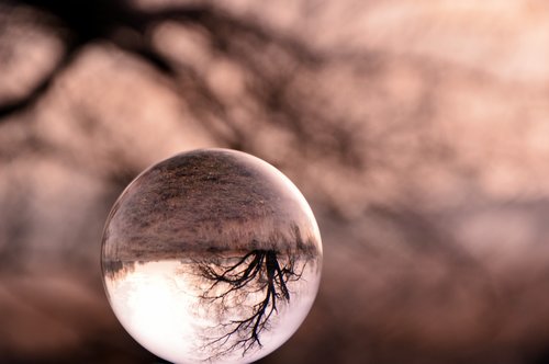 glass ball  ball  landscape