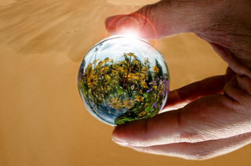 Glass Ball With Flowers