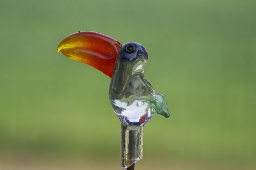 glass bird bird glass