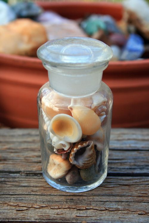 Glass Bottle With Sea Shells