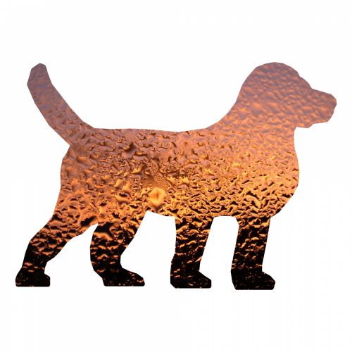 Glass Dog