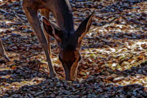Glass Effect On Deer Feeding