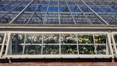 glass items greenhouse window