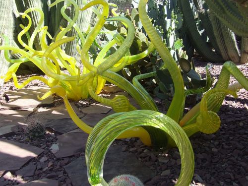 glass plants abstract desert