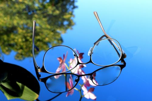 glasses see lenses