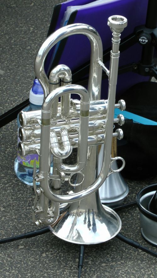 Gleaming Trumpet