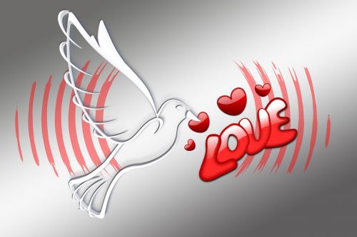 global dove love