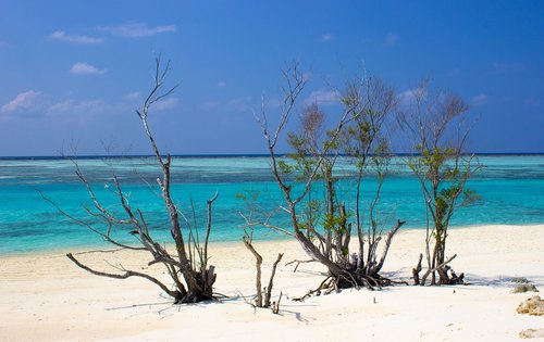 global warming  beach  sea