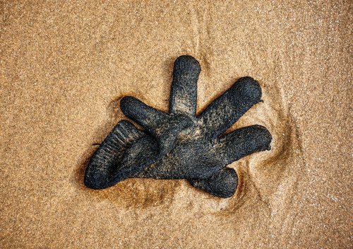 glove  lost  beach