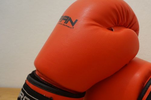 gloves box fight