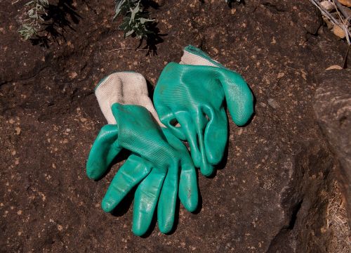 gloves gardening protection