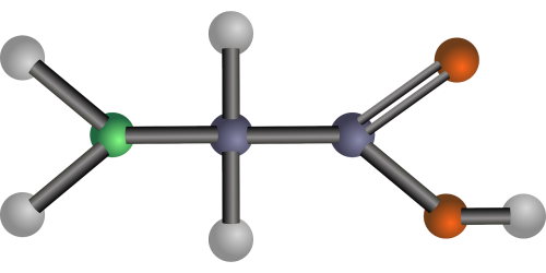 glycine amino acid biology