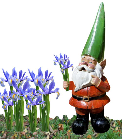 gnome iris garden