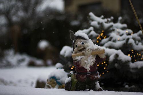 gnome dwarf snow