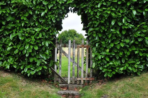 goal hedge garden gate