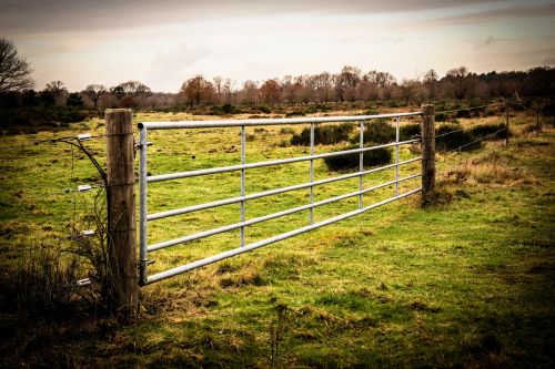 goal gate fence