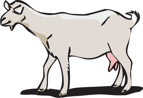 goat animal farm free vector graphics