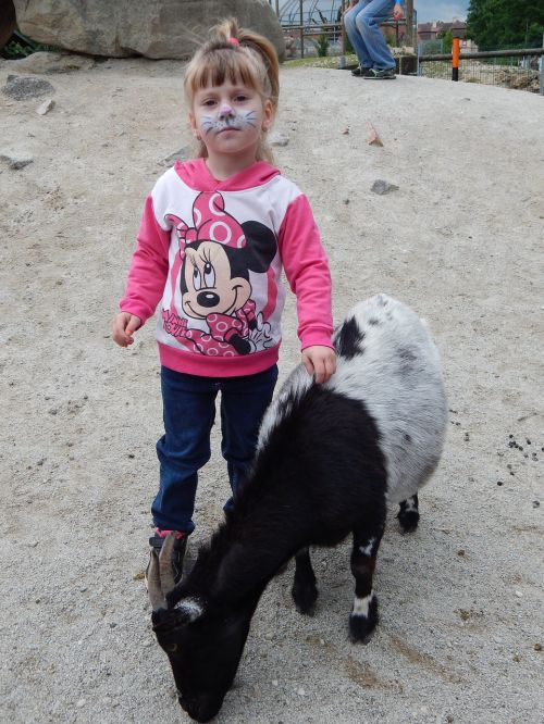 goat animal child