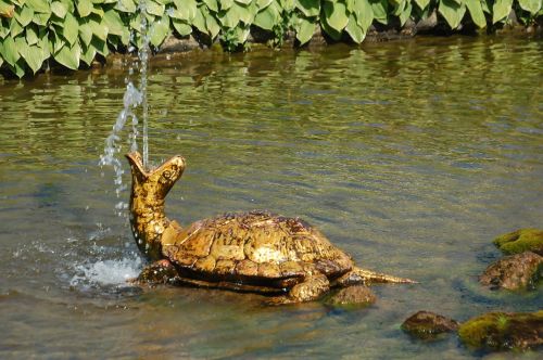 gold tortoise fountain