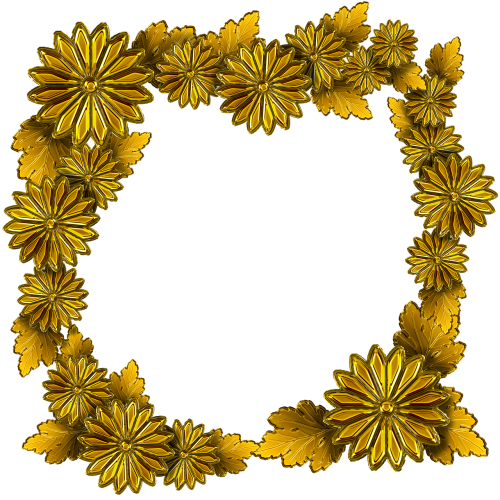 gold the frame chrysanthemum flowers