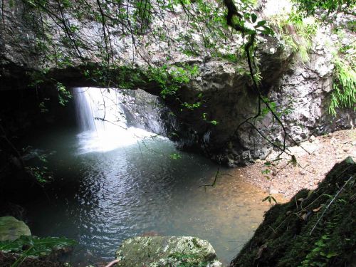 gold coast hinterland natural bridge waterfall