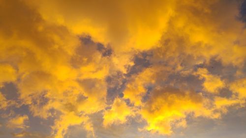 golden clouds huoshao