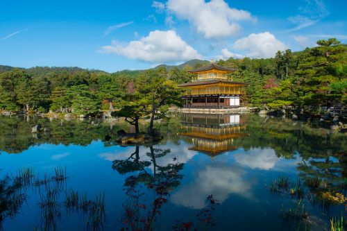 golden pavilion japan