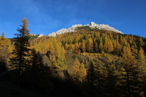 golden autumn mountains forest