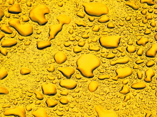 Golden Background Water Droplets