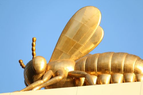 golden bee bee gold