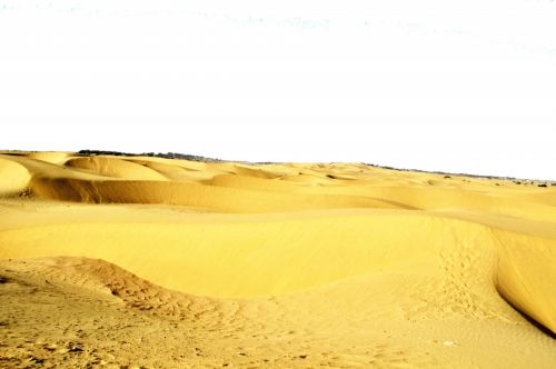 Golden Sand 1