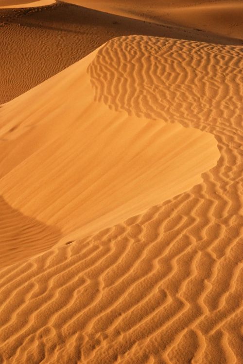 golden sand sand dunes desert