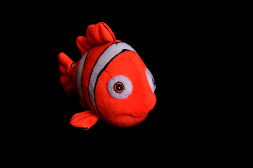 clown fish koi fish fish pillow