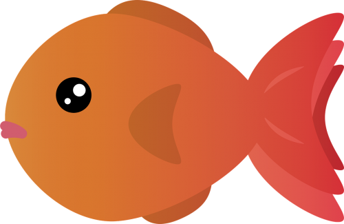 goldfish fish fish tank