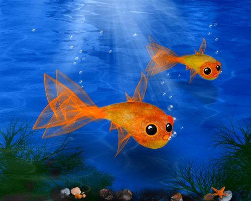 goldfish fish water